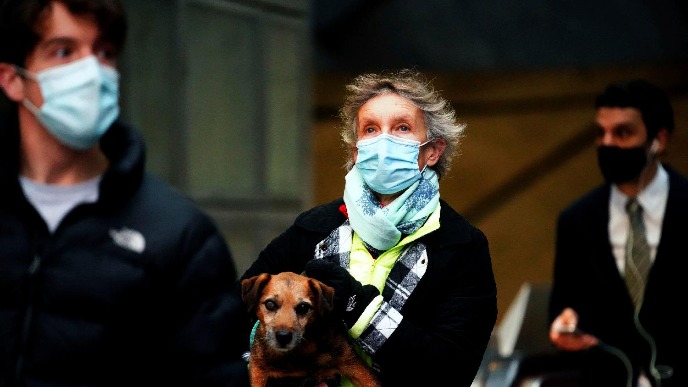 Nema ptičjeg gripa u Srbiji